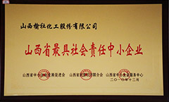 2010年山西省最具社會責(zé)任中小企業(yè)